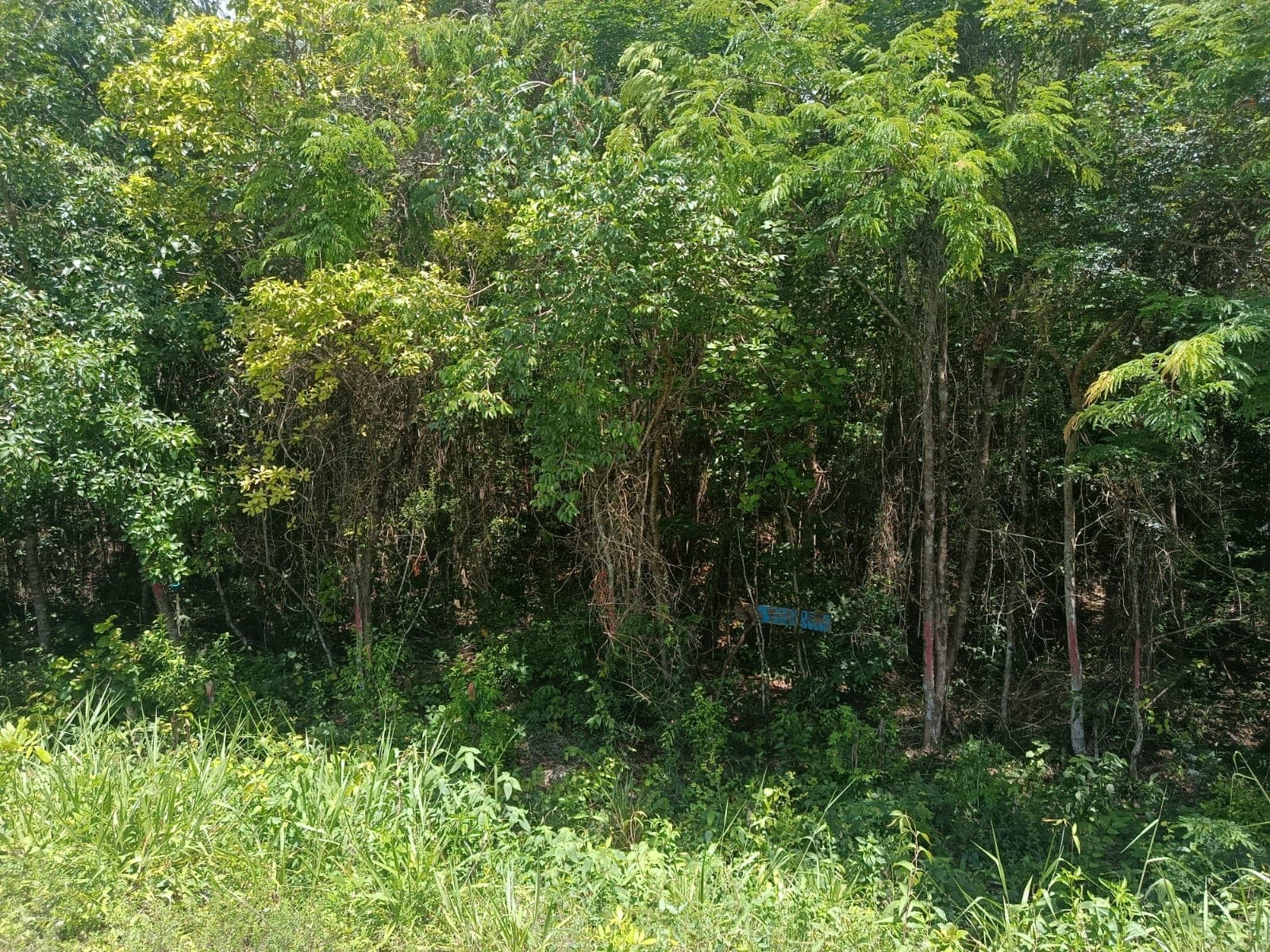 1,400 m² Lot for Sale in Bacalar - Image 1