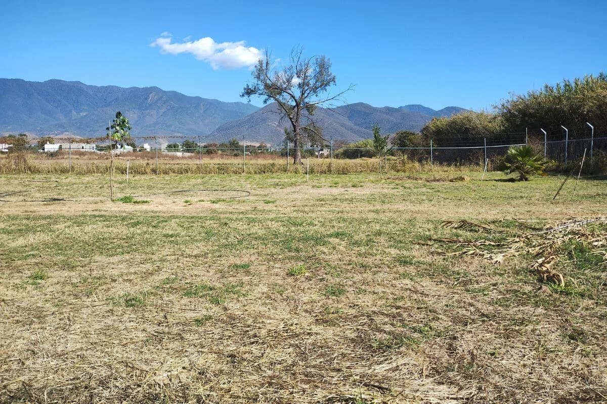 Terreno en Venta en Tlalixtac - Imagen 1