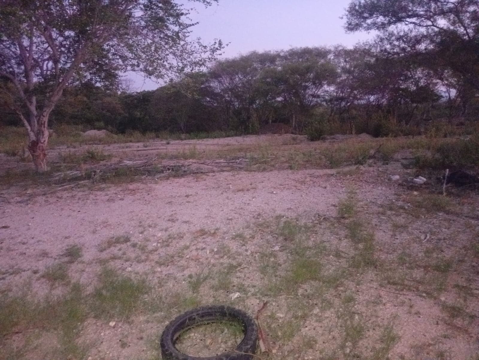 800 m² Lot for Sale in La Barra del Potrero - Image 1