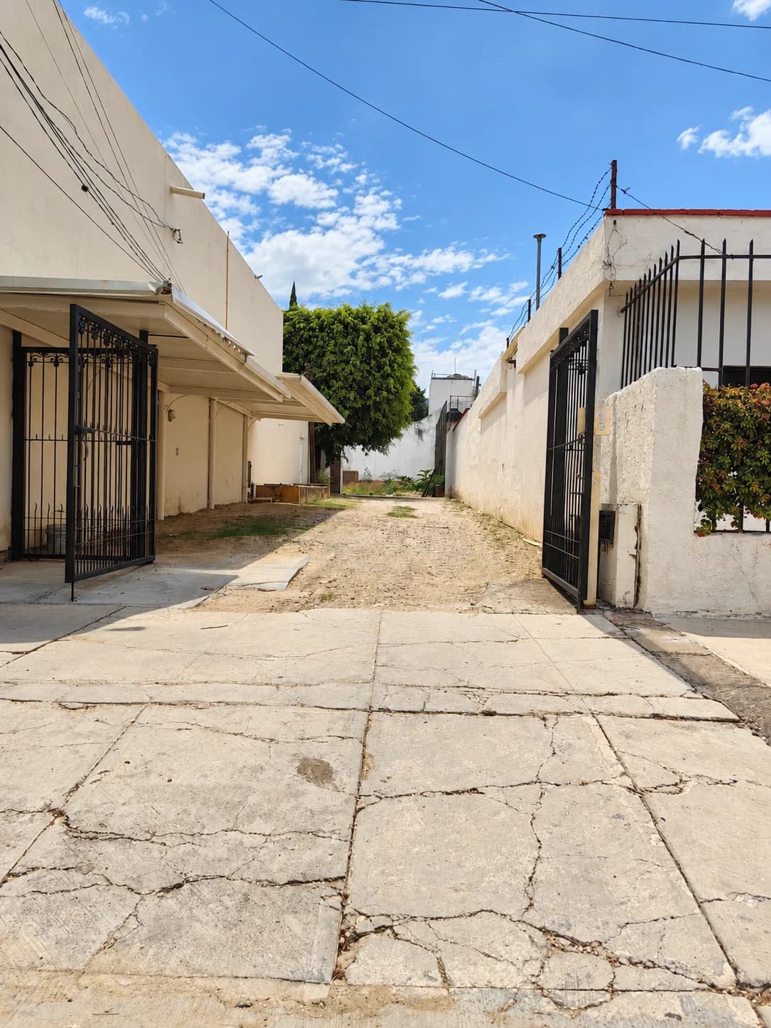 Terreno de 333 m² en renta en Oaxaca de Juárez - Imagen 1