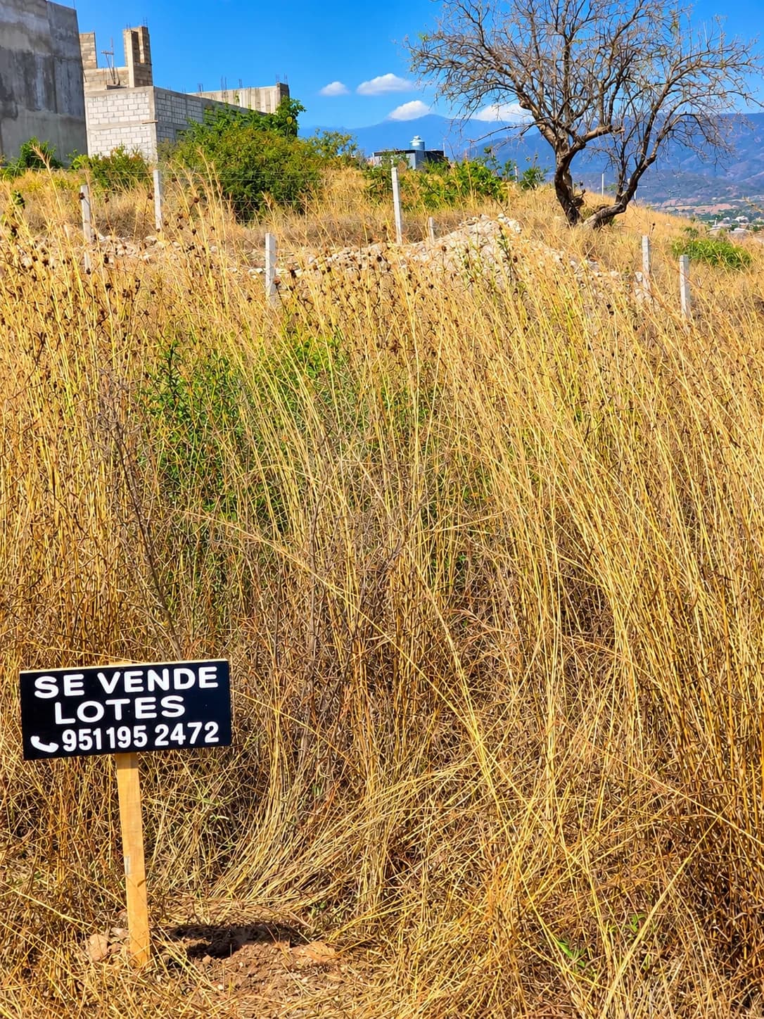 200 m² Lot for Sale in the Impulsso Neighborhood - Image 1