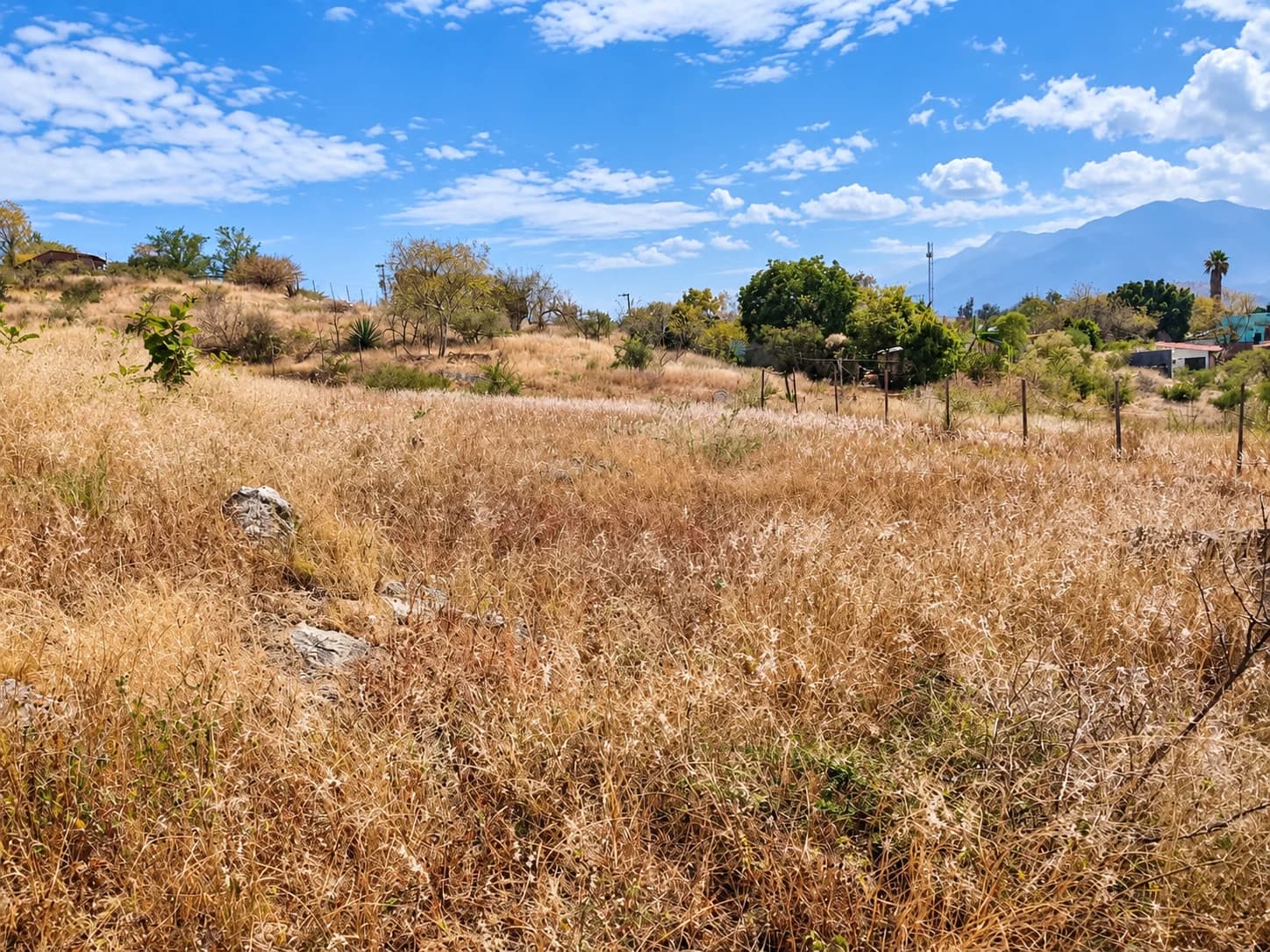 Lote-Tlacochahuaya-$ 900,000-vista panorámica - Imagen 1