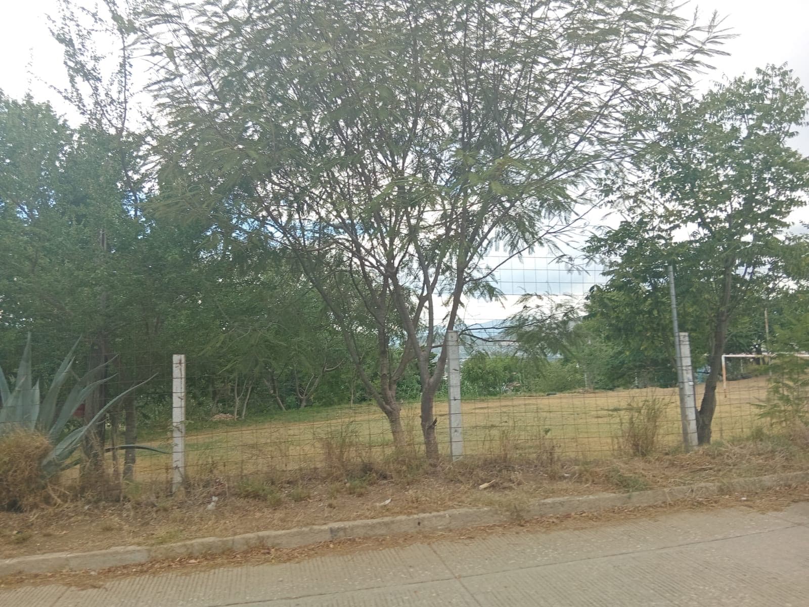 480 m² Lot for Sale in Santa Rosa, San Jacinto Amilpas - San Jacinto Amilpas