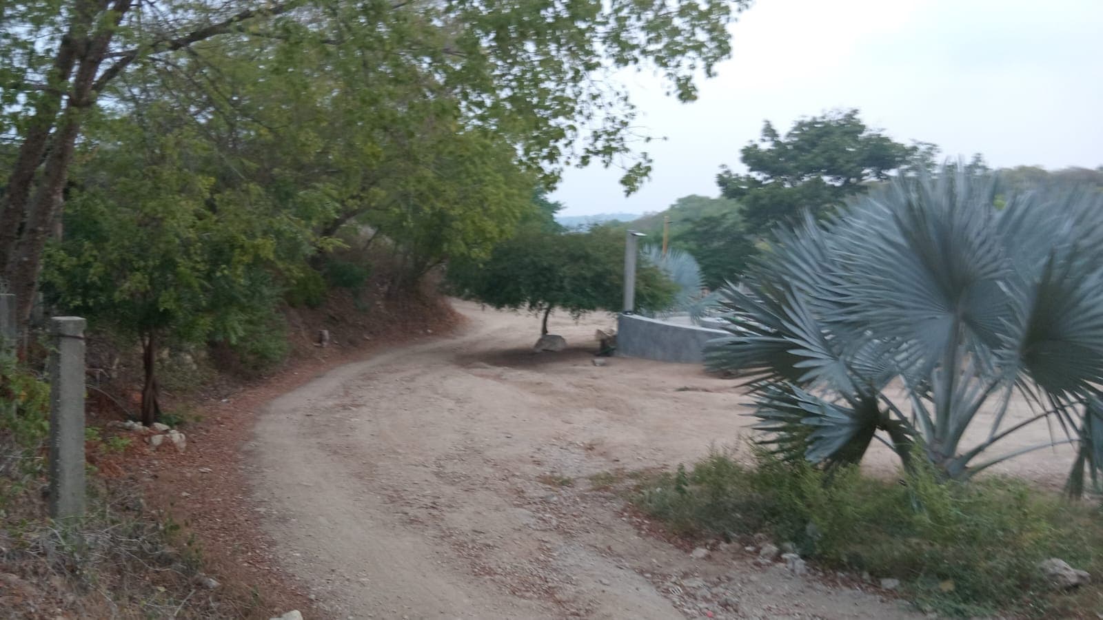 1,200 m² Land Lot for Sale in Puerto Ángel - Image 1