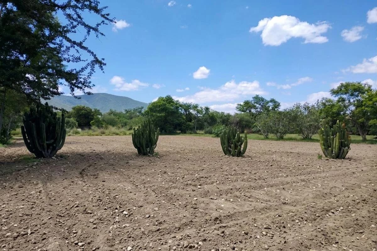 Land for Sale in Santa Catalina de Sena, Tlalixtac - Image 1