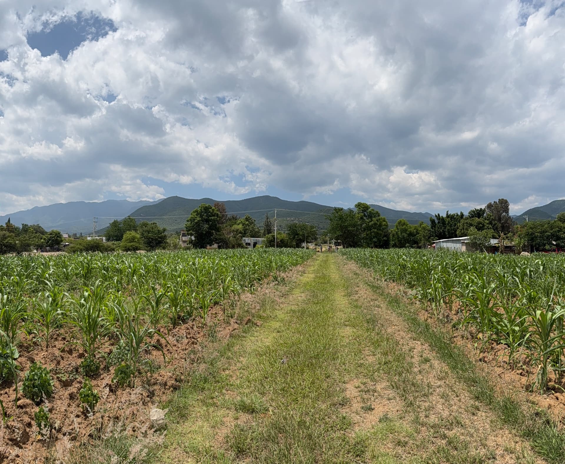 15,000 m² Single-Parcel Land for Sale in Tlalixtac de Cabrera - Image 1