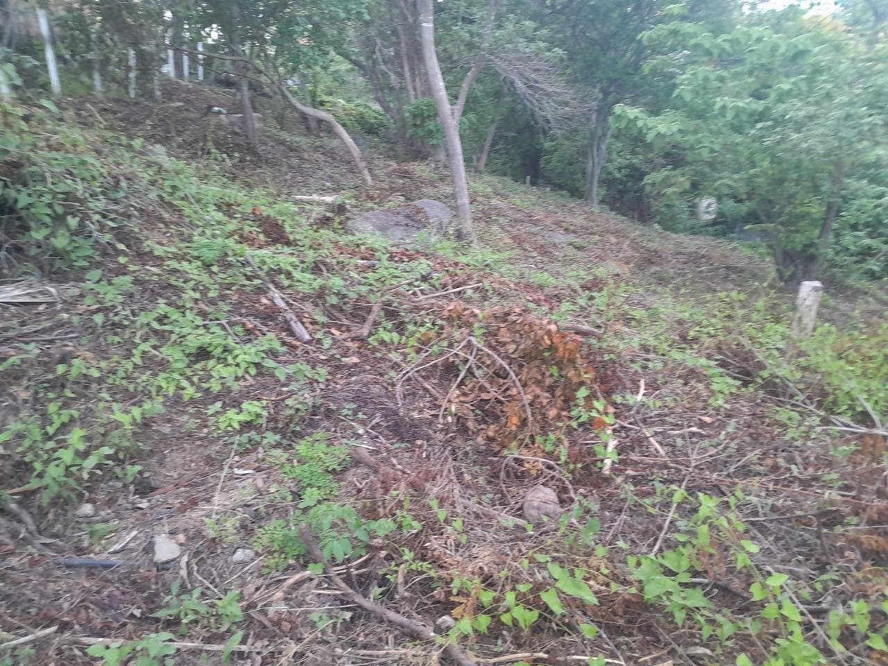 1,700 m² Land Lot in Puerto Ángel, San Pedro Pochutla - Image 1
