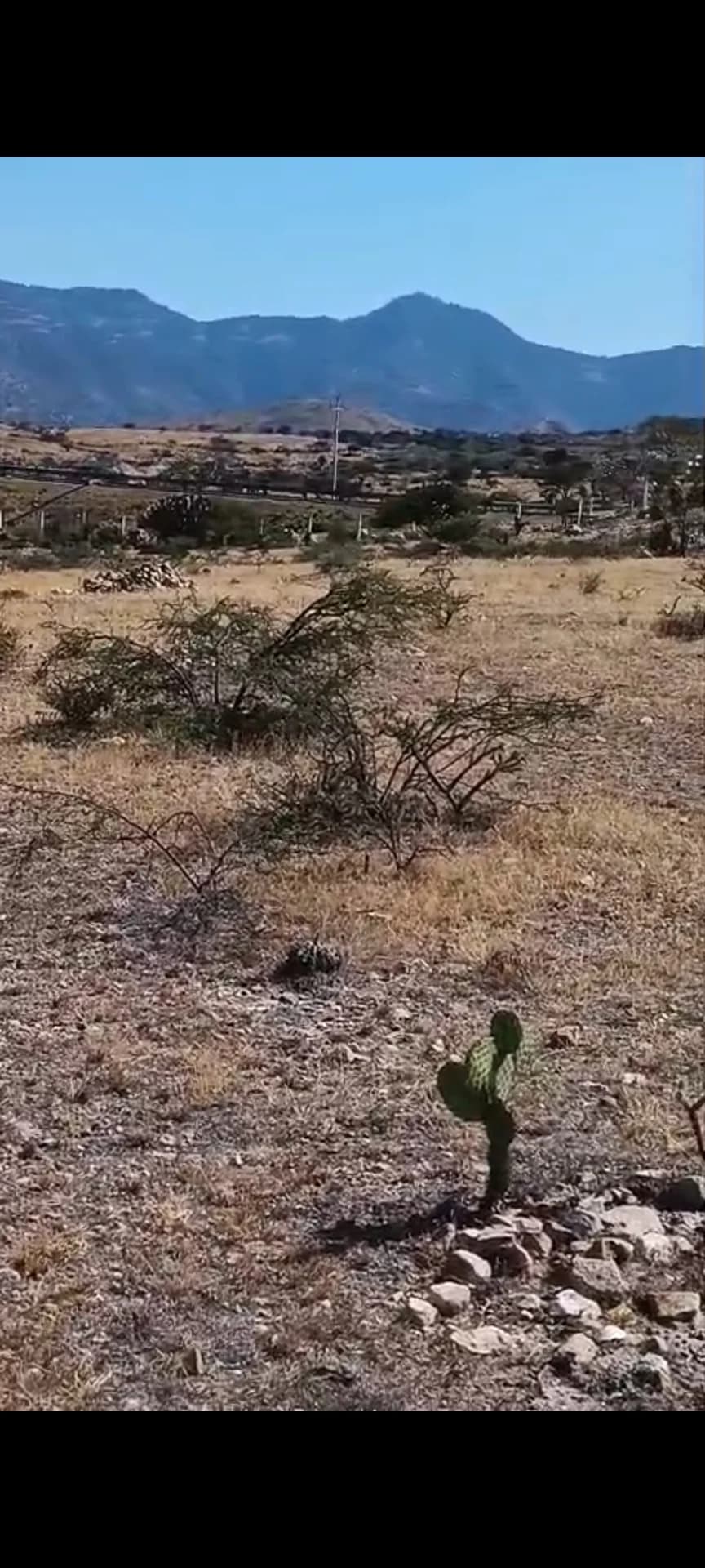 Terreno de 600 m² en venta, colonia Tequio, San Pablo Villa de Mitla - Imagen 1