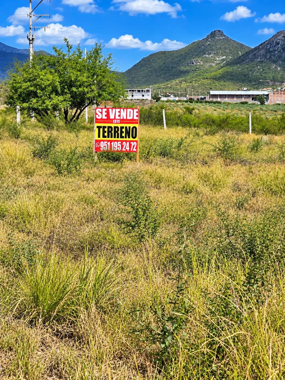 1,200 m² Land for Sale in Lomas de Santa Ana, Ciudad Yagul - Image 1