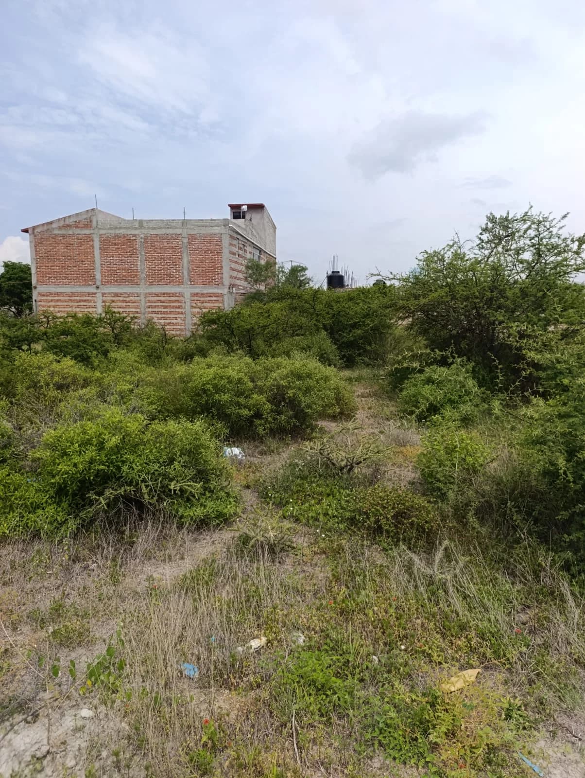 400 m² Lot for Sale in Colonia 3 de Mayo, San Pablo Villa de Mitla - Image 1
