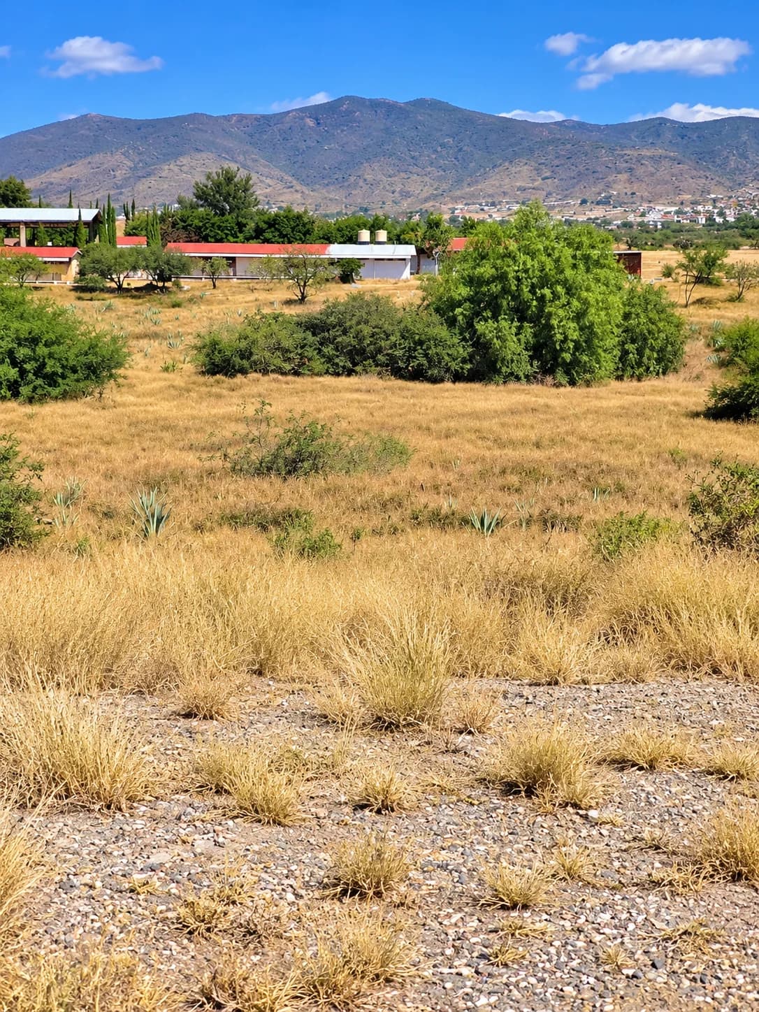 Terreno de 200 m² en venta en Tlacolula de Matamoros - Imagen 1