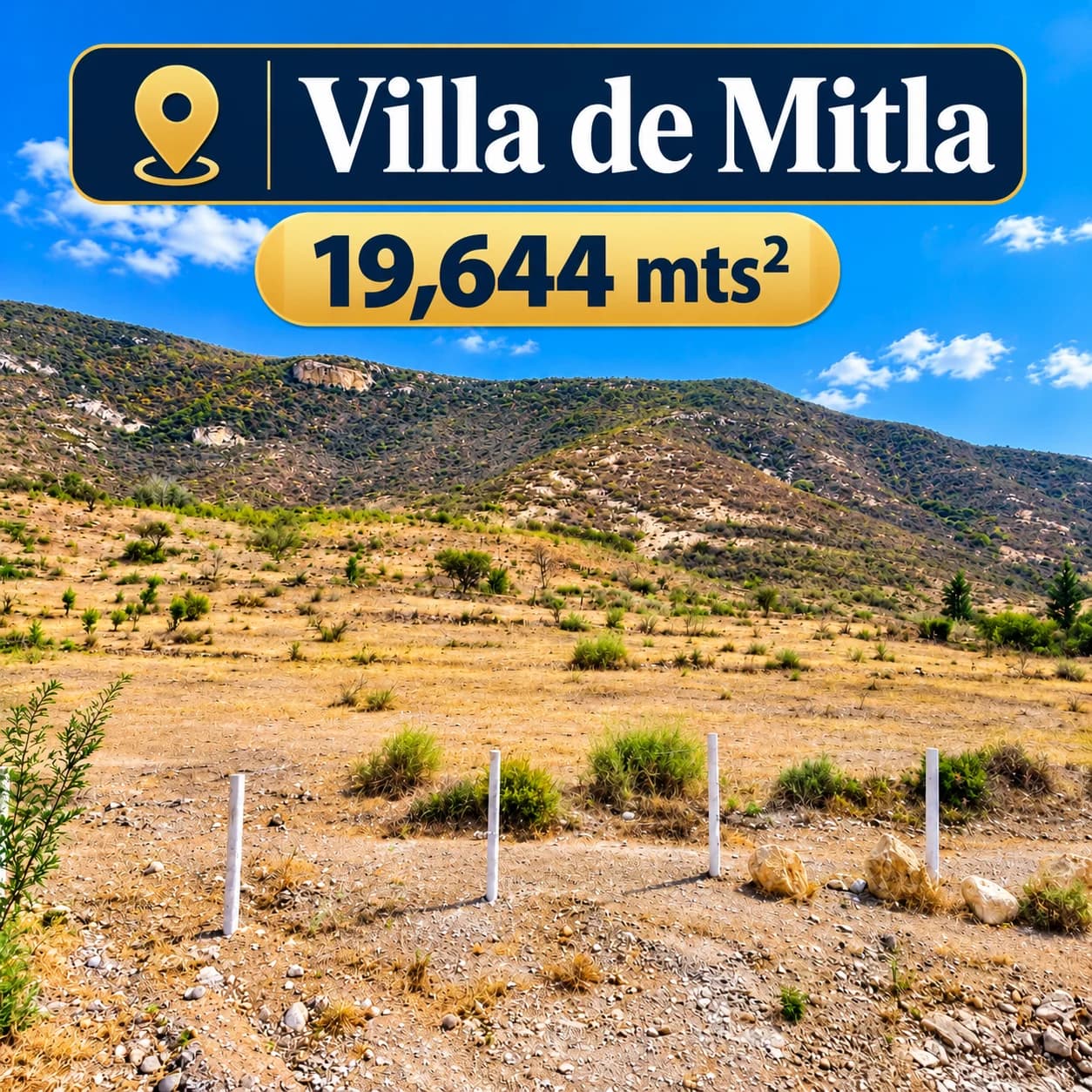 Terreno de 19,644 m² en venta en San Pablo Villa de Mitla, Paraje Ni Danne - Imagen 1
