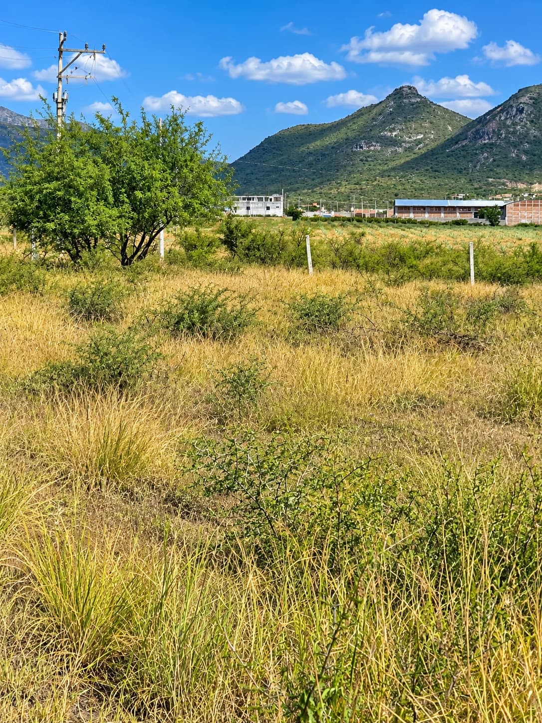 200 m² Lot for Sale in Lomas de Santa Ana - Image 1