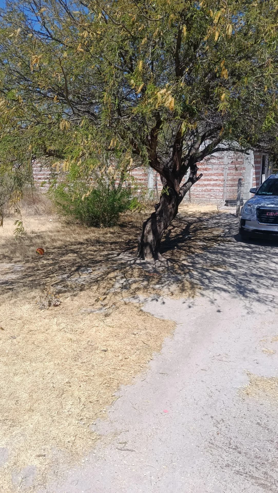 Terreno 3de mayo opción 2 - Imagen 1
