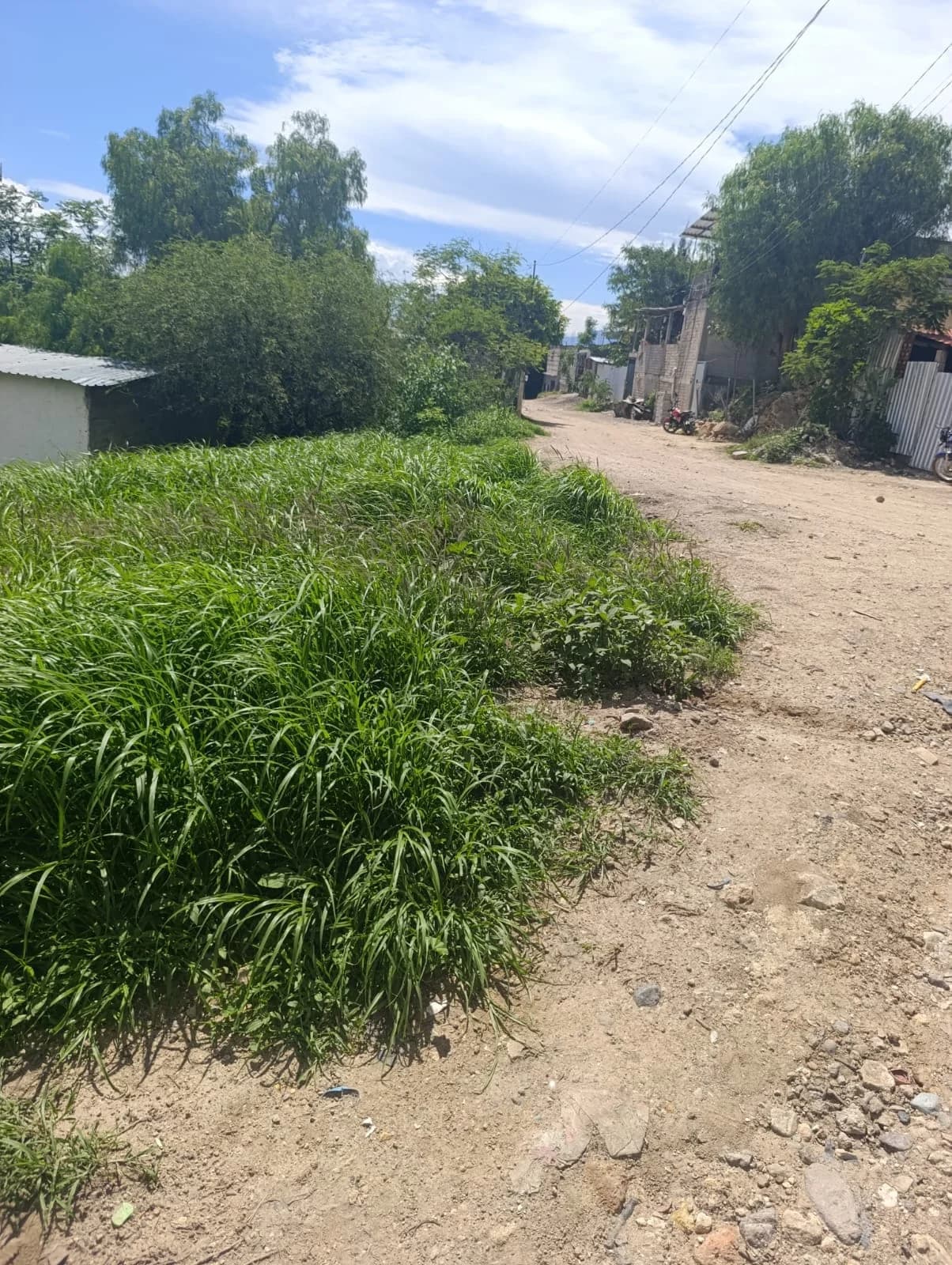 242 m² Lot for Sale in Paraje Guillipa, Tlacolula de Matamoros - Image 1