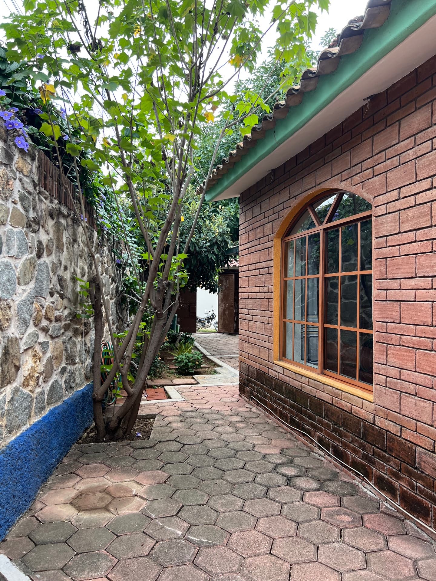 Furnished 3-Bedroom House with Large Garden in San Andrés Huayápam - Image 1