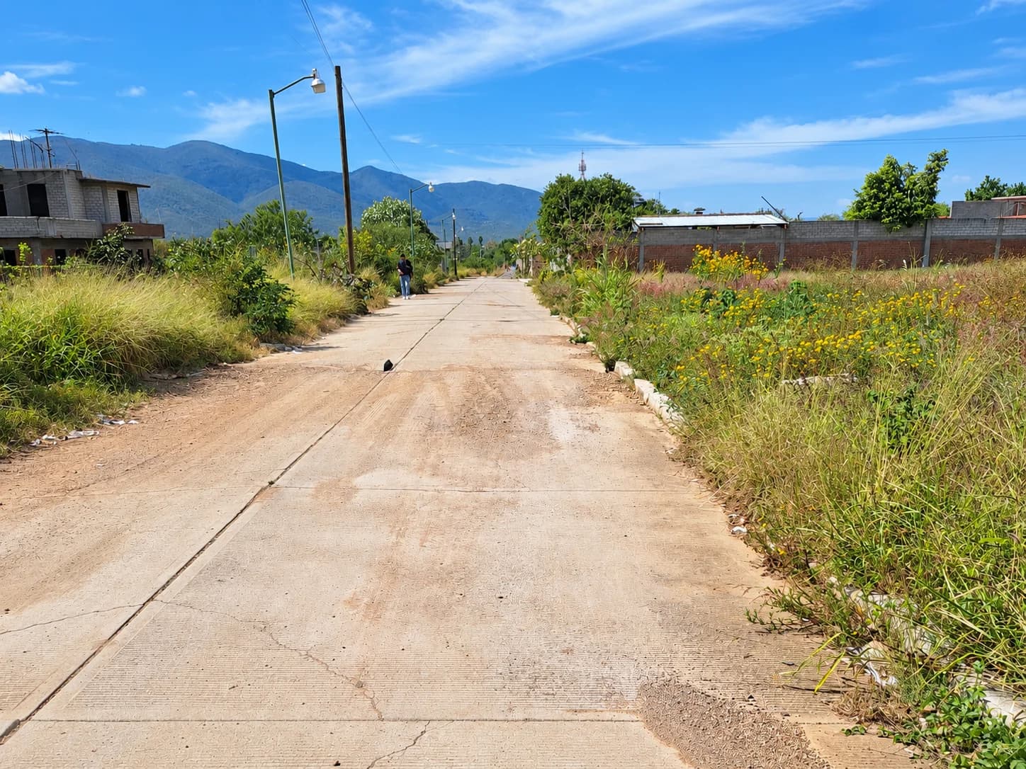 Terreno-Tlacochahuaya-$ 1,500xm²-excelente ubicación - Imagen 1
